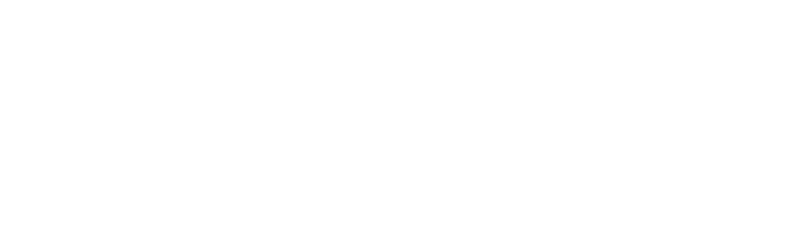 Swim 4 Life DFW Logo