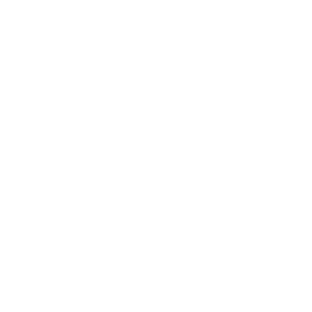 icon-lifepreserver